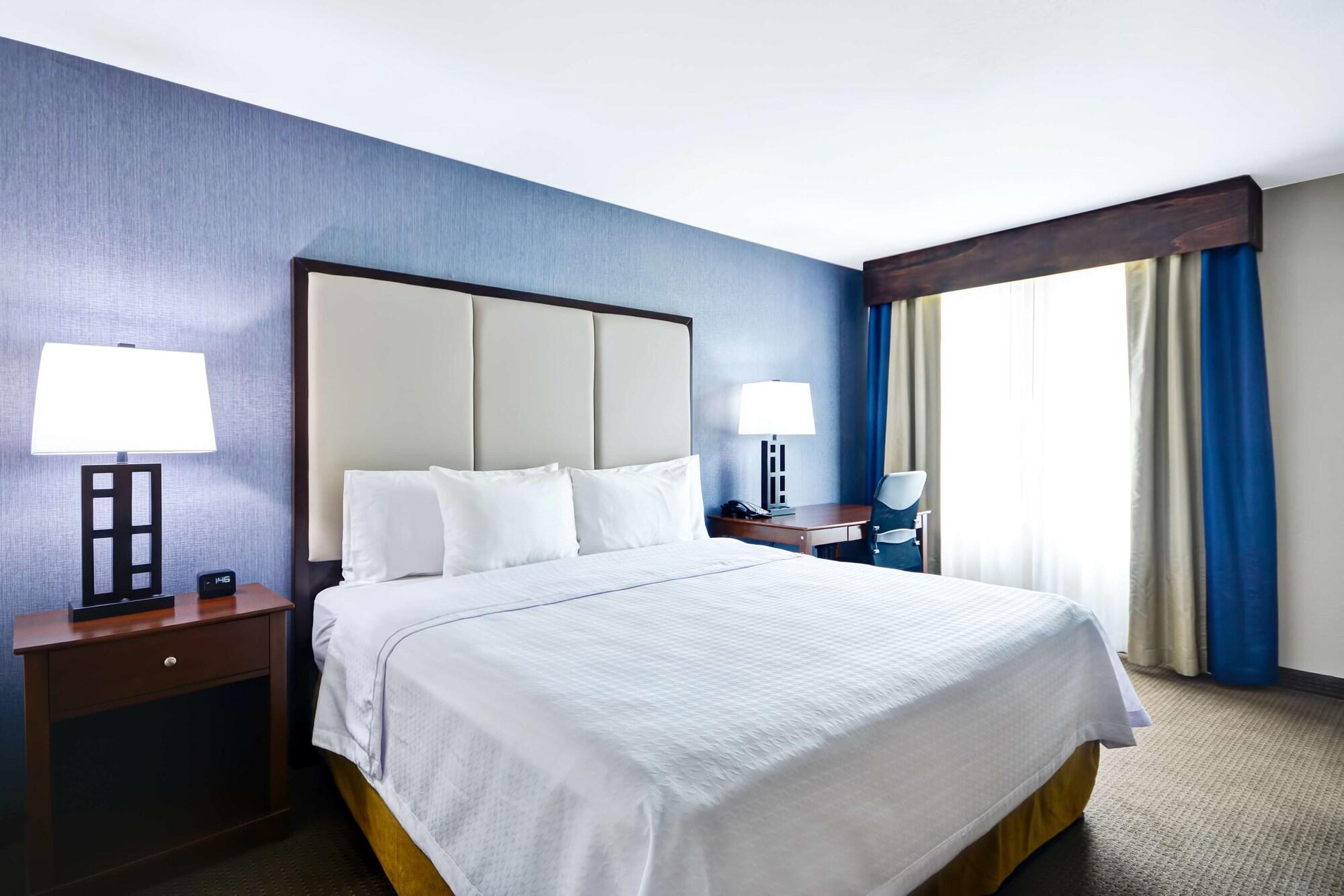 Homewood Suites By Hilton Dallas-Луїсвілл Екстер'єр фото